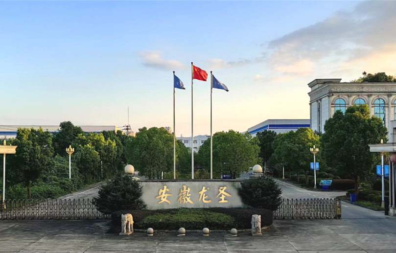 Anhui Longsheng New Material Technology Co.、Ltd。